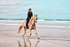 Australia-NSW-Comboyne Plateau and Beach Ride